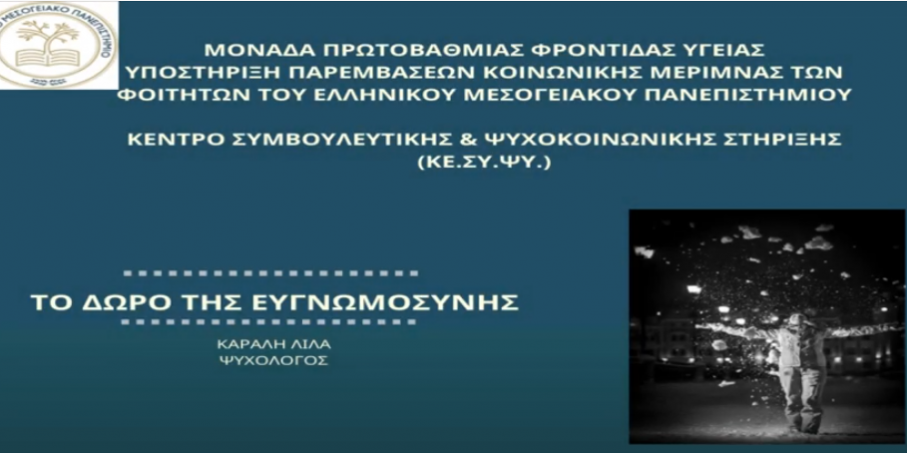 video-pic2